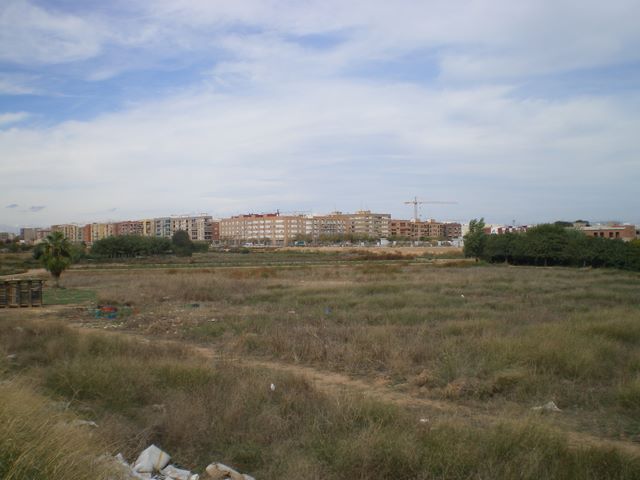 PARTIDA DE LA FOIA (horta)